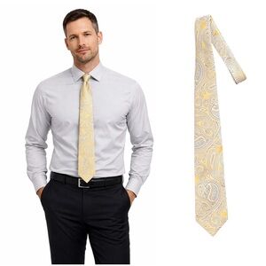 Hathaway Elegant Yellow Paisley Men's Tie
🔥% bundle of 3, 5, 10, 15 or 20 ties